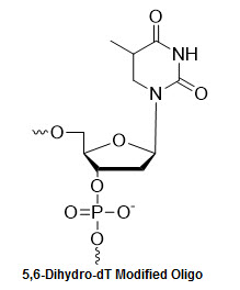 Bio-Synthesis Inc. Oligo Structure